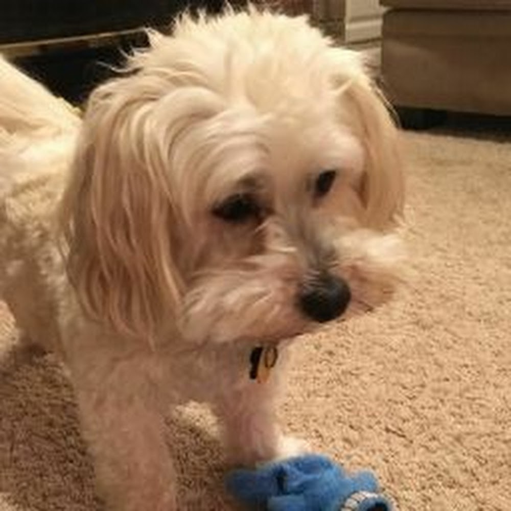 Meet your Posher, Kate